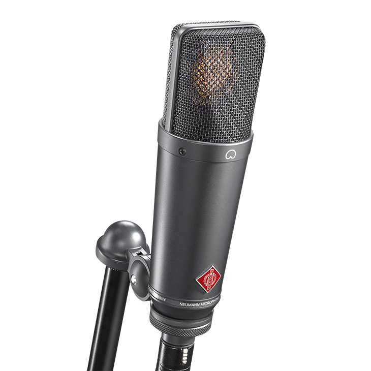 Neumann TLM 193 Large-Diaphragm Cardioid Studio Condenser Microphone